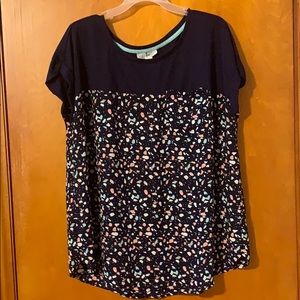 Sheer bottom half top